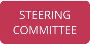 STEERING COMMITTEE