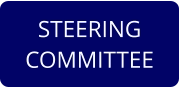 STEERING COMMITTEE