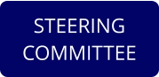 STEERING COMMITTEE